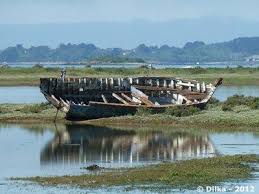 Epave Sur L Ile Arz Golfe Du Morbihan 56 France Vieux Bateaux Bateaux Bateau En Bois