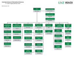 organization chart graduate school of biomedical sciences