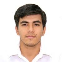 60+ "Michael Lino" profiles