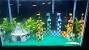 Zen Fish Tank Ideas