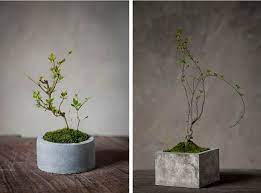 diy水泥花盆 重点其实就在于模具 也要记得灌水泥之前先涂上一层植物油 剩下的 自己发挥想象力吧 sky 博客大巴