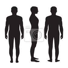 It may be acute (meaning that the pain lasts a relatively short time) or chronic (meaning the pain lasts. Human Body Anatomy Vector Man Silhouette Front Back Side Leinwandbilder Bilder Schaufensterpuppe Anteil Schulter Myloview De
