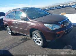 Image result for Brandywine 2008 RX