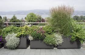 The Small Garden Design Ideas Roof Garden Balcony Garden Small Garden Design