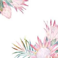 Floral Card With Protea Watercolor Template For Wedding Invitations Posters Valentine Floral Watercolor Background Wedding Invitation Posters Polynesian Art