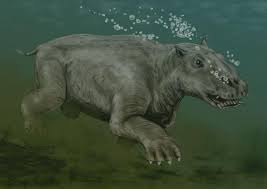 Flippers Or Feet An Extinct Mammal May Have Been Replaced By Today S Sea Cows Smithsonian Ocean
