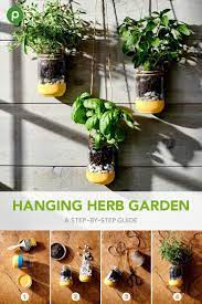 Diy Hanging Herb Garden Publix Super Market The Publix Checkout Hanging Herb Gardens Diy Herb Garden Hanging Herbs