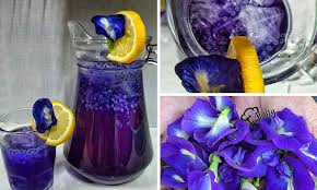 Tampak dari renovasi kolam dan fasiltas kamar ganti & kamar mandi menjadi tempat wisata ini menjadi bersih #dapurberasaputube #mesticuba #resepimudah resepi air sprite lemon asam boi (mesti cuba!!) Resepi Air Telang Selasih Lemon Air Sejukkan Badan Banyak Khasiatnya Daily Makan