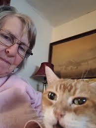 Good evening. Such a good day. We went to the Supermarket and did our  shopping and went to Boots to collect Hubby's tablets. Chelsea was in her  hot bed when we left