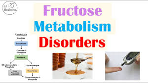 Image result for Hereditary Fructose Intolerance