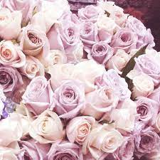 Check spelling or type a new query. Online Rose Wedding Flower Package Gold Coast Australia