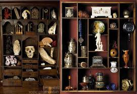 Topic Cabinets Of Wonder A Place For All Things Curious Fringe Society Cabinet Of Curiosities Curiosity Shop Cabinet