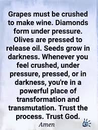 Grapes Are Crushed To Make Wine Diamonds Are Formed Under Pressure Inspirational Quotes Inspirational Words 10th Quotes