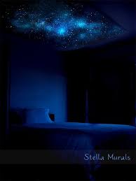 Glow In The Dark Star Ceiling Canopy Crux 5 39 3 Quot X 5 39 10 Quot Ethereal Night Sky Star Ceiling Space Themed Room Outer Space Bedroom Decor