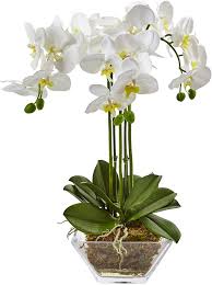 See more ideas about crochet, crochet home, crochet vase. Nearly Natural 4570 Triple Phalaenopsis Orchid In Glass Vase Green White Amazon Co Uk Kitchen Home