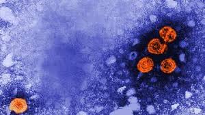 Heavy alcohol use, toxins, some medications, and certain medical conditions can cause hepatitis. Hepatitis German Center For Infection Research