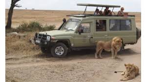 Kubwa Five Safaris - Private Tour Operator in Kampala, Uganda | tourHQ