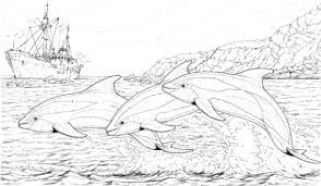 To print the coloring page 30 Free Dolphin Coloring Pages Printable