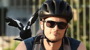 Dean Nicholas Kleinschmidt: Qld accountant tries to run from drunken crash 