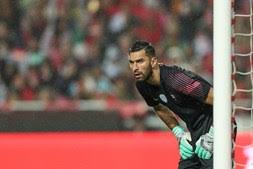 O jogador e a especialista em sexologia recuaram no tempo com imagens que. Mulher De Rui Patricio Deixa Carreira Por Amor Famosos Correio Da Manha