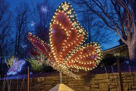 Winter Lights Sets NC Arboretum Aglow Starting November 15