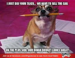I Just Did Your Taxes We Have To Sell The Car On The Plus Side Our Dingo Budget Looks Great Funny Animal Memes Puppy Meme Funny Dog Pictures