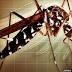 Lexington company releasing mosquitoes to reduce the mosquito ...