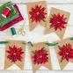 Christmas Poinsettia Banner event image