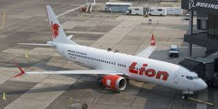 Pesawat lion air tersebut dilaporkan hilang kontak tak lama setelah lepas landas. 4 Hal Janggal Sebelum Pesawat Lion Air Jatuh Di Karawang Merdeka Com