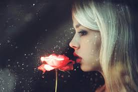 نتیجه تصویری برای عکس گرفتن دردست گرفتن یک شاخه گل