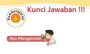 Diharapkan kunci jawaban tema 3 kelas 4 ini dapat membantu orang tua dan guru saat mengoreksi jawaban tugas siswa. Kunci Jawaban Tema 3 Kelas 2 Subtema 3 Halaman 107 108 109 110 111 Tugasku Sebagai