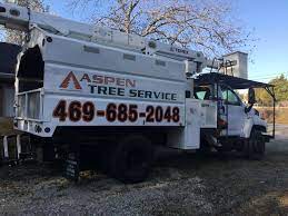 Avoid the risk of injury and property damage by calling in the pros from aspen tree service. Aspen Tree Service Home Facebook