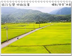 花蓮鐵道秘境 東里火車站 遨翔金黃稻浪上的月台 不規則稻田夢幻極了 肉魯走遍全台灣 環遊全世界