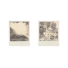 Uriel Salas (@uriel__salas) • Instagram photos and videos