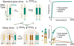 We note, however, that robots might have a hard time dealing with rugged landscapes, small insects. Keeping Genetic Engineering Localized Mit News Massachusetts Institute Of Technology