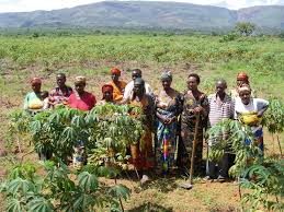 Image result for burundi