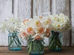 Your wedding bouquet roses hydrangeas stock images are ready. The Best Spring Wedding Flowers