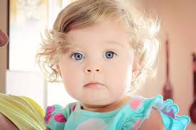 Tara Gregory Designs