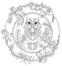 Malvorlage Eule Johanna Basford C Jpg 620 653 Ausmalbilder Ausmalbilder Eulen Mandalas Zum Ausmalen