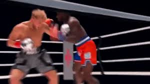 Can jake paul create another viral moment? Jake Paul And The Growth Of A Young Boxer The Fight Library