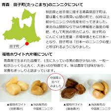 にんにく 醤油 漬け 何 個 まで