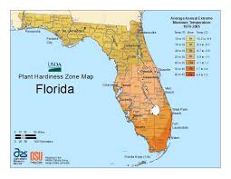 Calhoun county, 2010 population 14,625. 31 Edible And Native Landscaping In North Florida Ideas Florida Edible Florida Plants