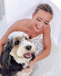 Wagnolia Bells(@wagnoliabells) • Instagram 사진 및 동영상