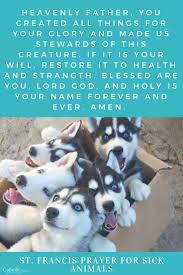 Francis of assisis prayers for pets. Pin On Catholic Prayers