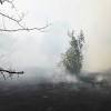 Story image for Israel GPS disruptions and electronic warfare from The Times of Israel (blog)