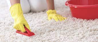 Die wichtigste voraussetzung beim teppich reinigen ist es, genau über das material und teppiche günstiger reinigen. Blog Teppich Reinigen