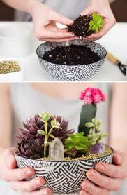 25 Diy Sukkulenten Garten Ideen Und Tutorials Sukkulenten Diy Indoor Wassergarten Zimmer Sukkulenten