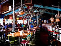 I Love Lynn S Paradise Cafe In Louisville Ky Coolest Place Ever Go There Louisville Kentucky Restaurants Louisville Louisville Restaurants