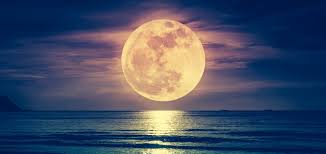 Find images of super moon. Flower Supermoon 2020 Tonight Is Your Last Chance To See The Rare Moon In All Its Glory Indy100 Indy100
