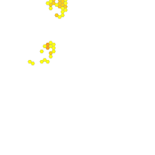 Image result for Crotalaria pseudotenuirama